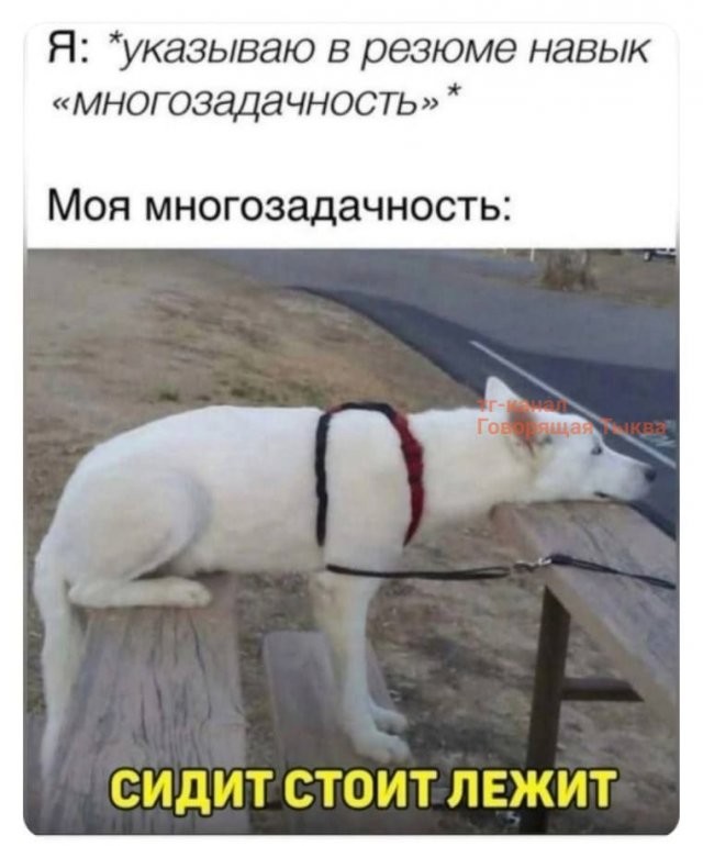 Скрины из соцсетей