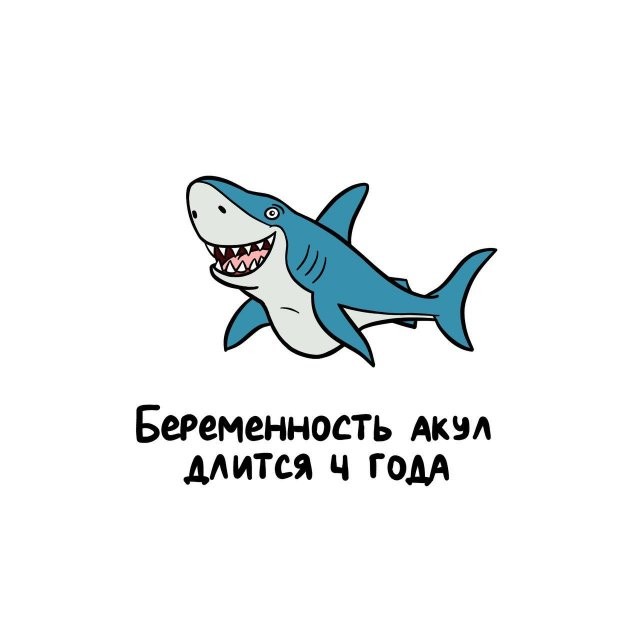 А вдруг ты не знал…