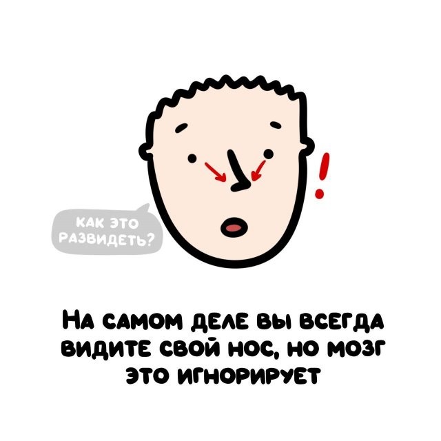 А вдруг ты не знал…