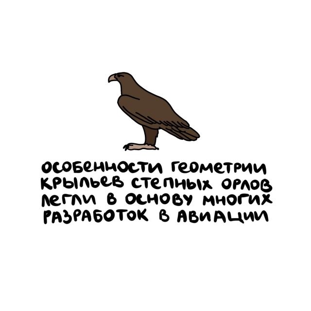 А вдруг ты не знал…