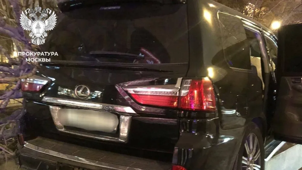 Водителя оштрафовали на 600 000 рублей за сломанный каштан