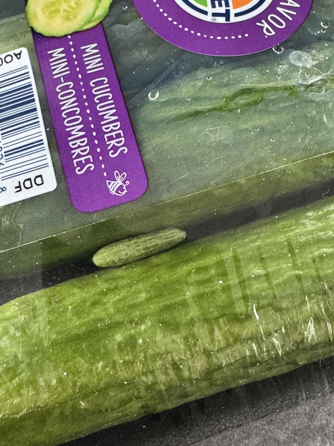 27. Свой среди чужих