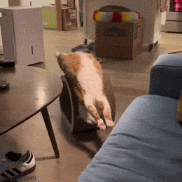 Просто гифки, всякие и&nbsp;разные