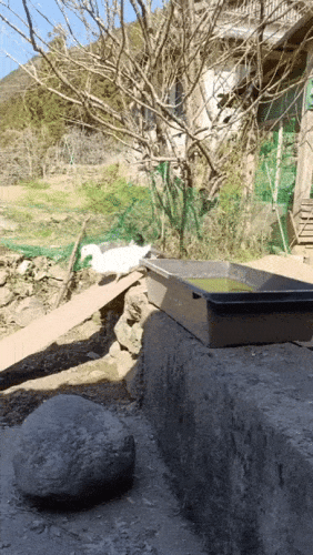 Просто гифки, всякие и&nbsp;разные