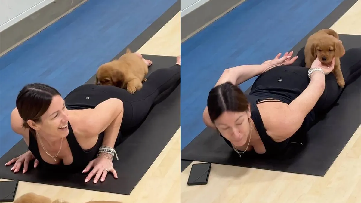 Йога с пушистым помощником