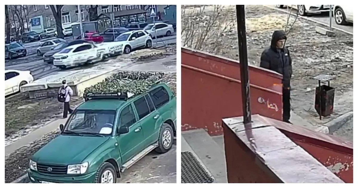 Извращенец показал школьнице свой половой орган