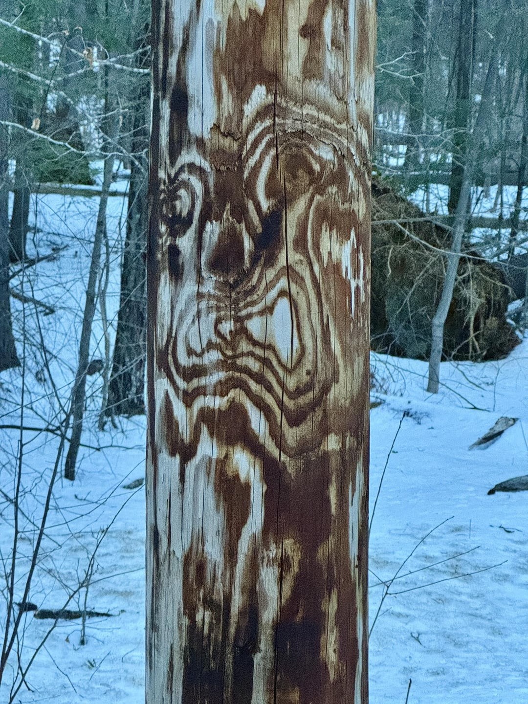 6. Пугающая физиономия на столбе