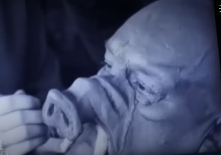 Вий 1967 года: два студента, проклятое кино и актриса, которую стёрли с плёнки