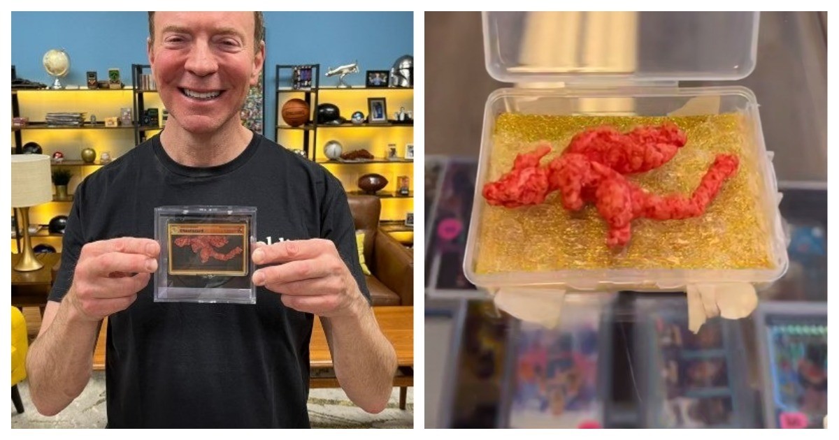 Мужчина установил рекорд Гиннеса за самую дорогую покупку чипсины