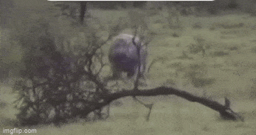 Просто гифки, всякие и&nbsp;разные