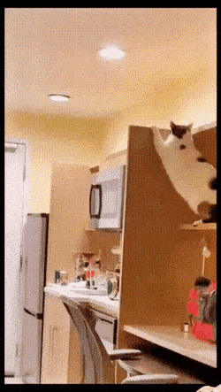 Просто гифки, всякие и&nbsp;разные