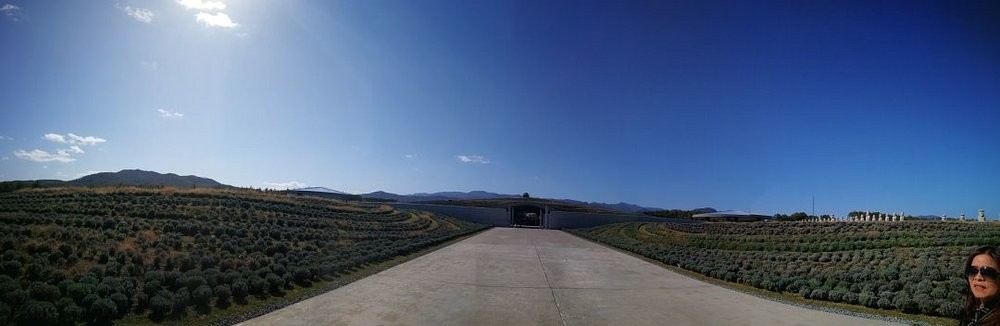 Будда, рождающийся из цветов: архитектурное чудо на Хоккайдо