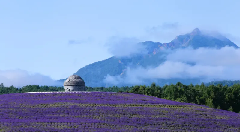 Будда, рождающийся из цветов: архитектурное чудо на Хоккайдо