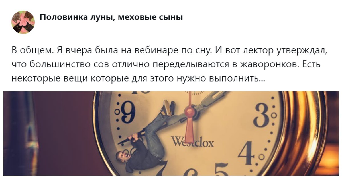 «Давайте переделаем жаворонков под сов!»: пользователи пытаются понять, можно (и нужно) ли изменить свой хронотип за две недели