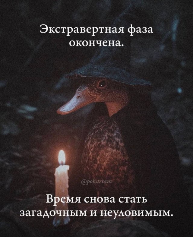 Скрины из соцсетей