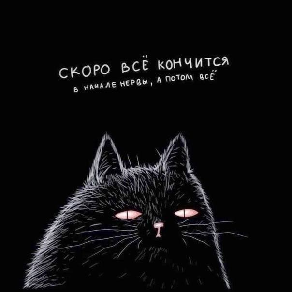 Скрины из соцсетей