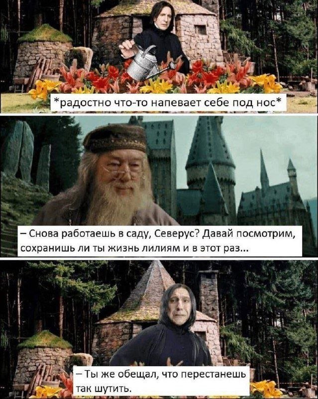 Скрины из соцсетей