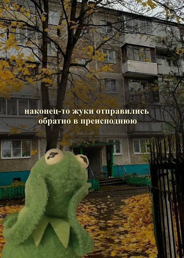 Скрины из соцсетей