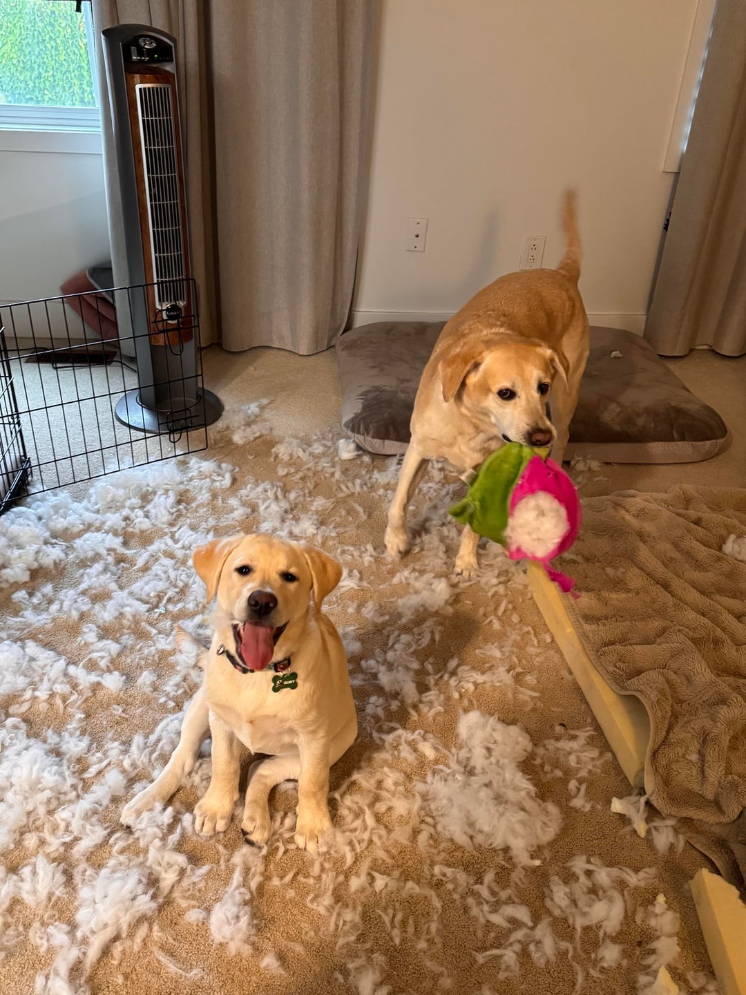 15. Вы всё ещё верите в наше исправление?