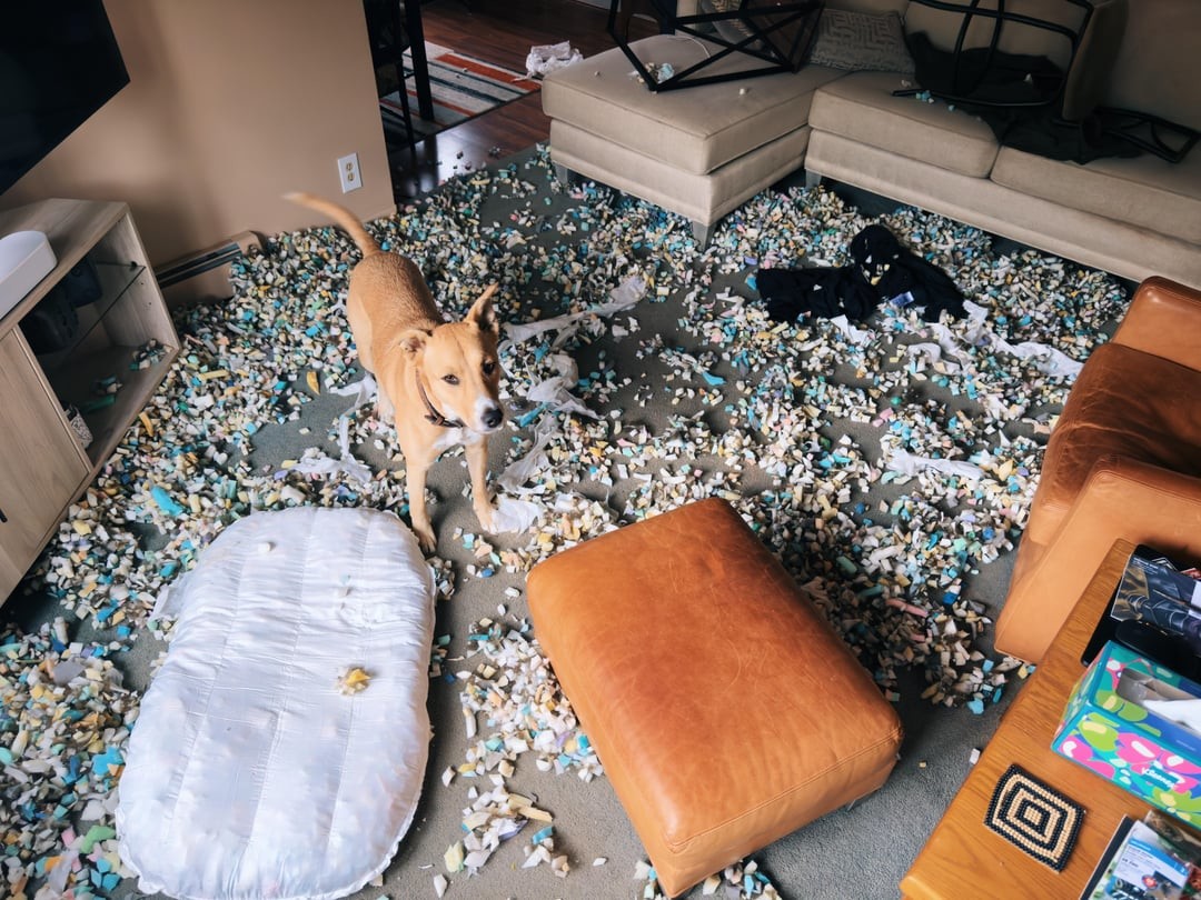 28. Когда немного увлёкся