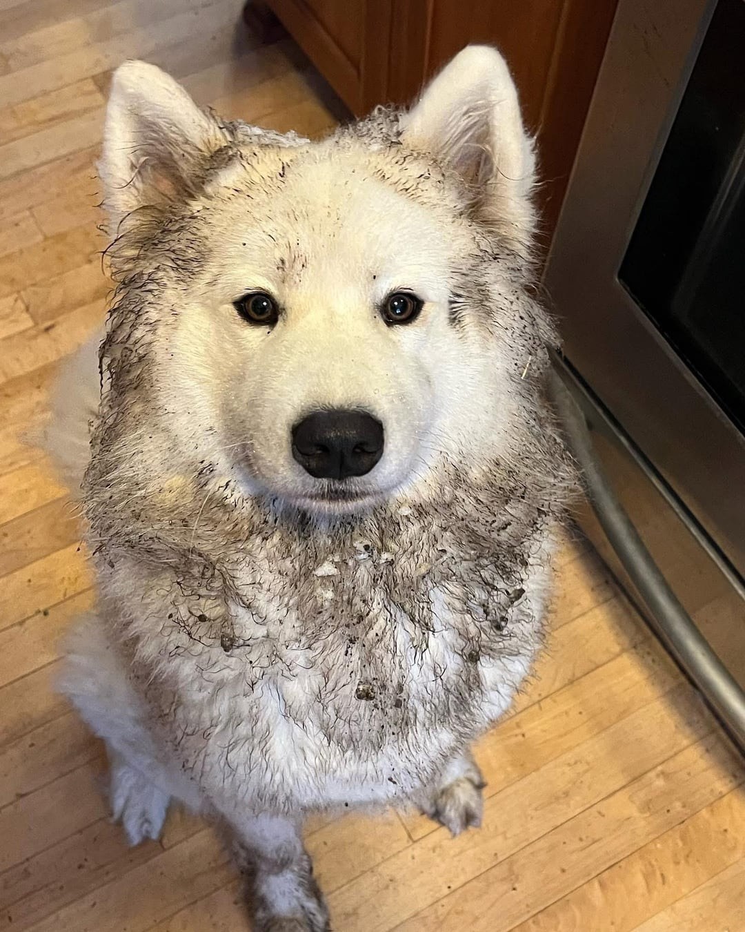 23. Прогулка удалась