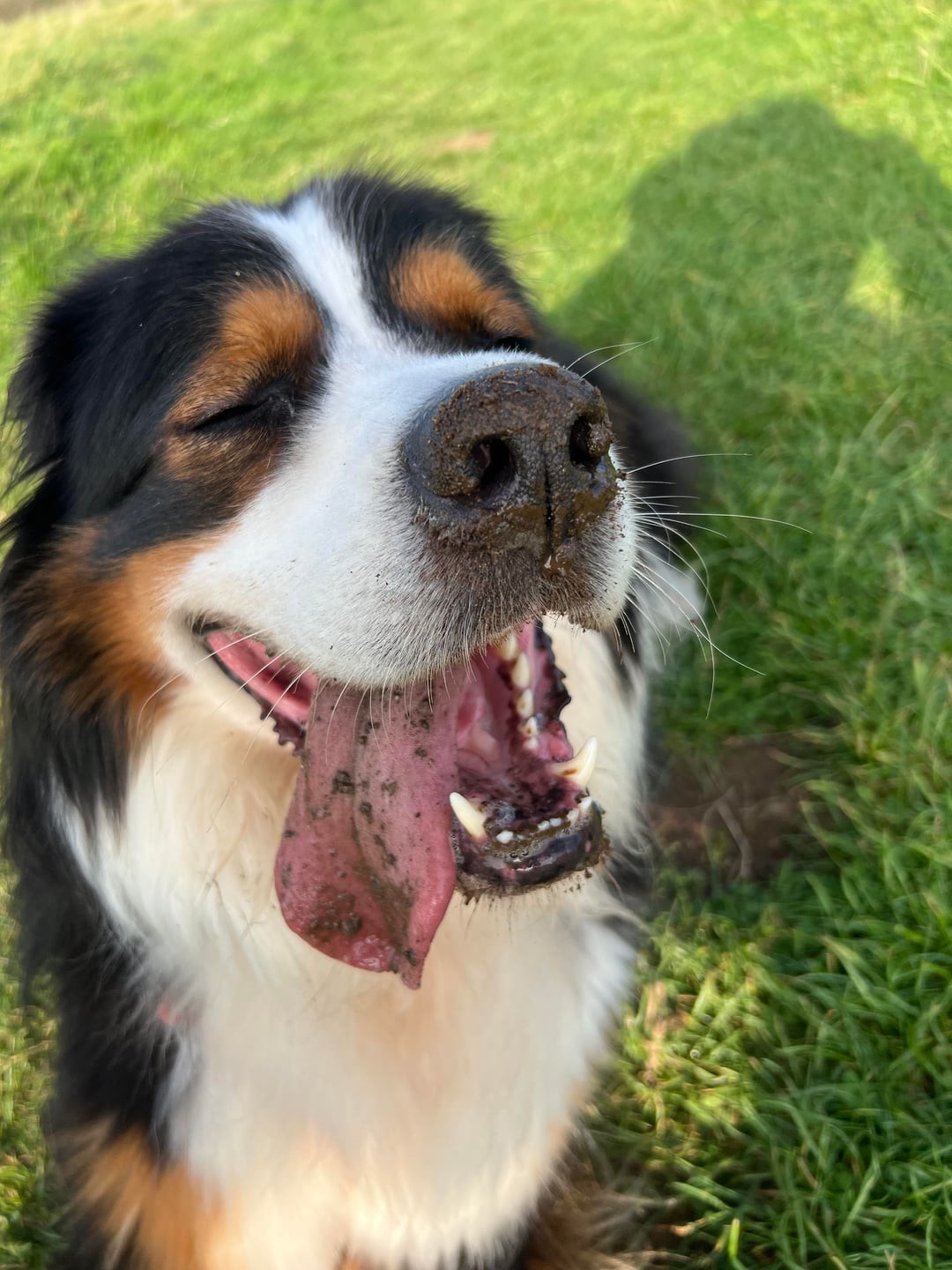 21. Ямы? Какие ямы?