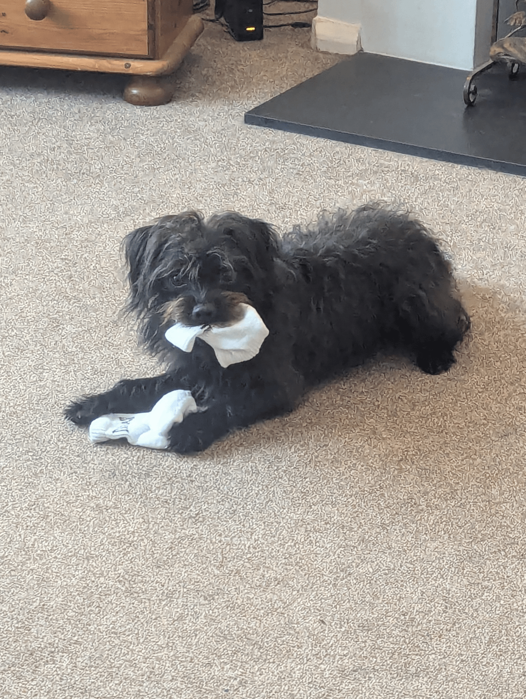 14. Никаких компромиссов, только носки