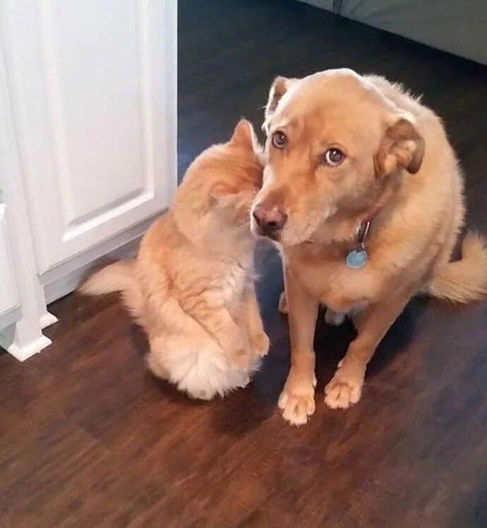 16. Они снова что-то замышляют