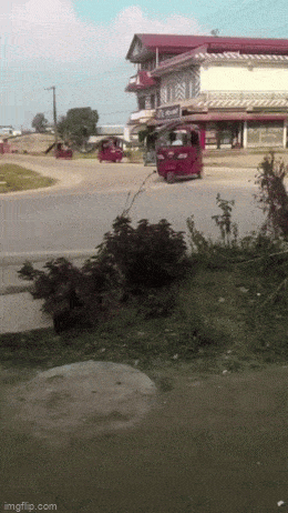 Просто гифки, всякие и&nbsp;разные