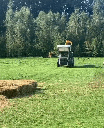 Просто гифки, всякие и&nbsp;разные