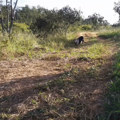 Просто гифки, всякие и&nbsp;разные