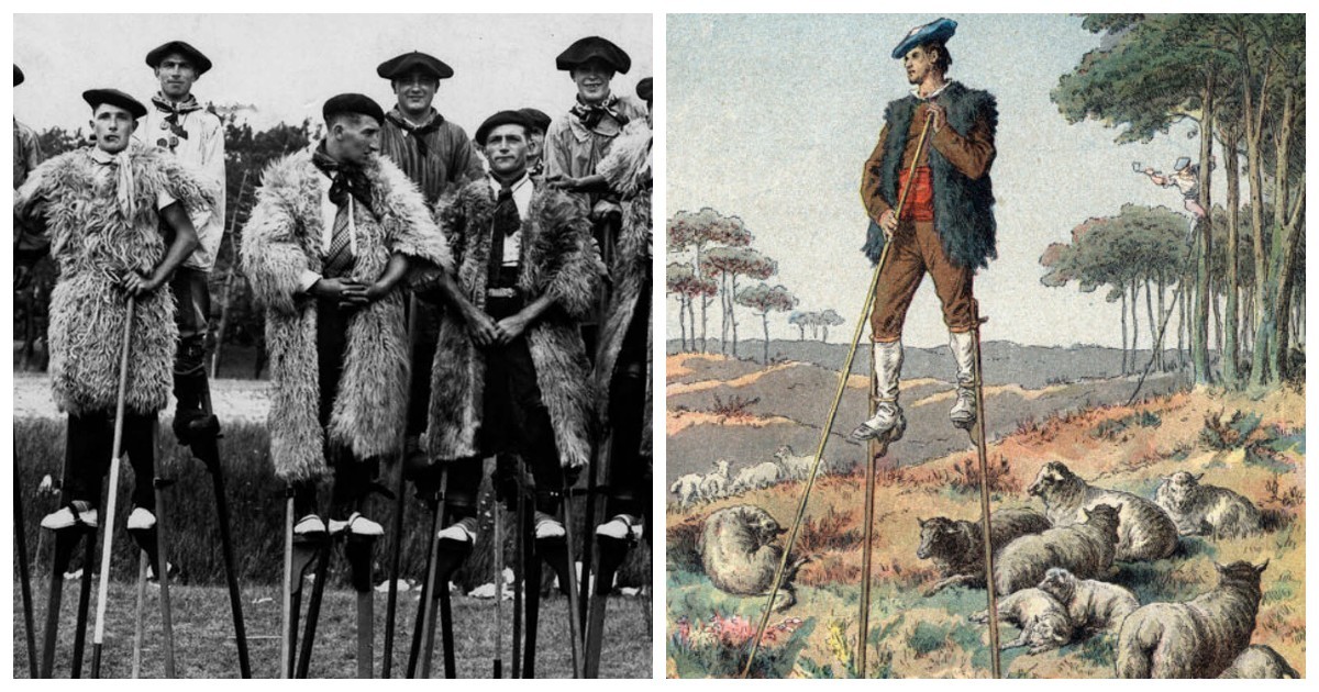 Люди на ходулях: как пастухи из французских Ланд обманули болота и вошли в историю