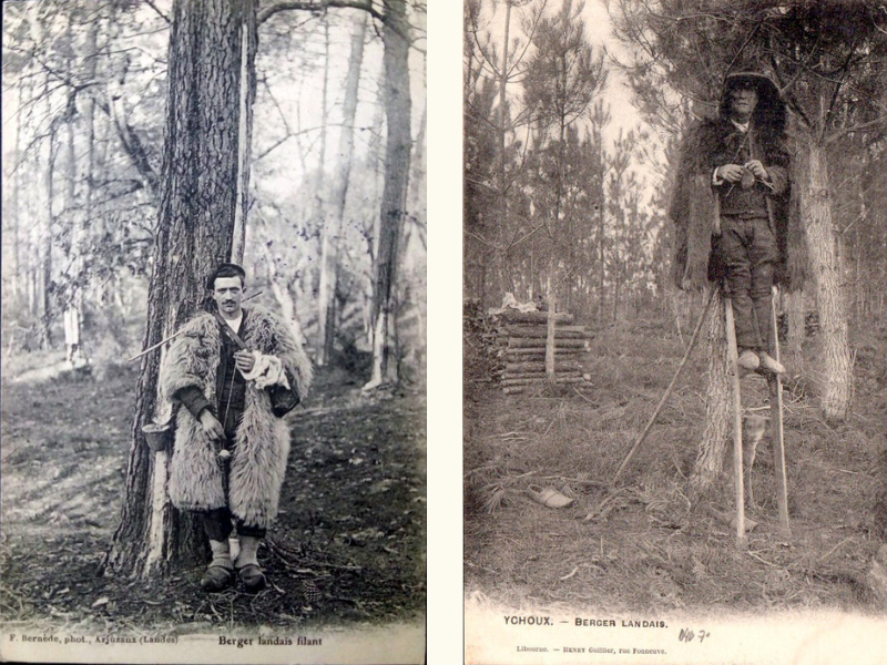 Люди на ходулях: как пастухи из французских Ланд обманули болота и вошли в историю