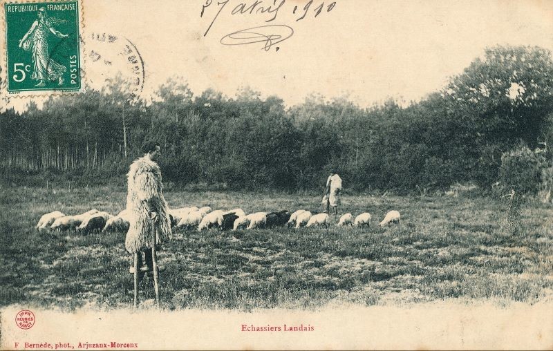 Люди на ходулях: как пастухи из французских Ланд обманули болота и вошли в историю