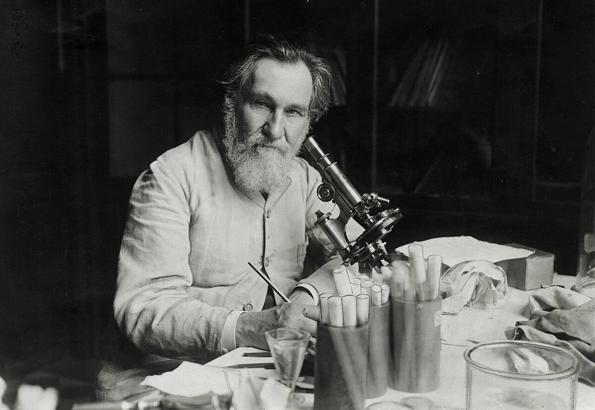 Илья Мечников за микроскопом в институте Пастера. Париж, 1913 год