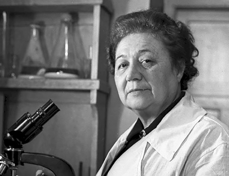 Выдающиеся медики России и СССР. Зинаида Виссарионовна Ермольева