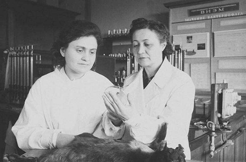 Выдающиеся медики России и СССР. Зинаида Виссарионовна Ермольева