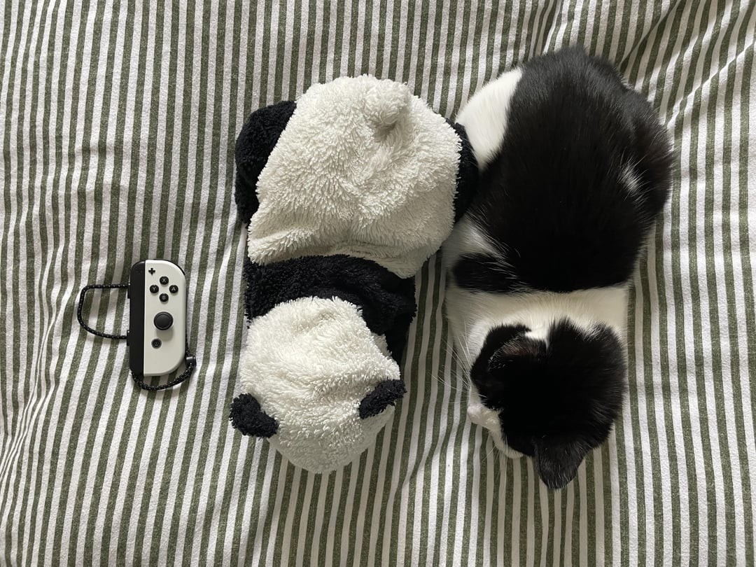 6. А вы видите разницу?