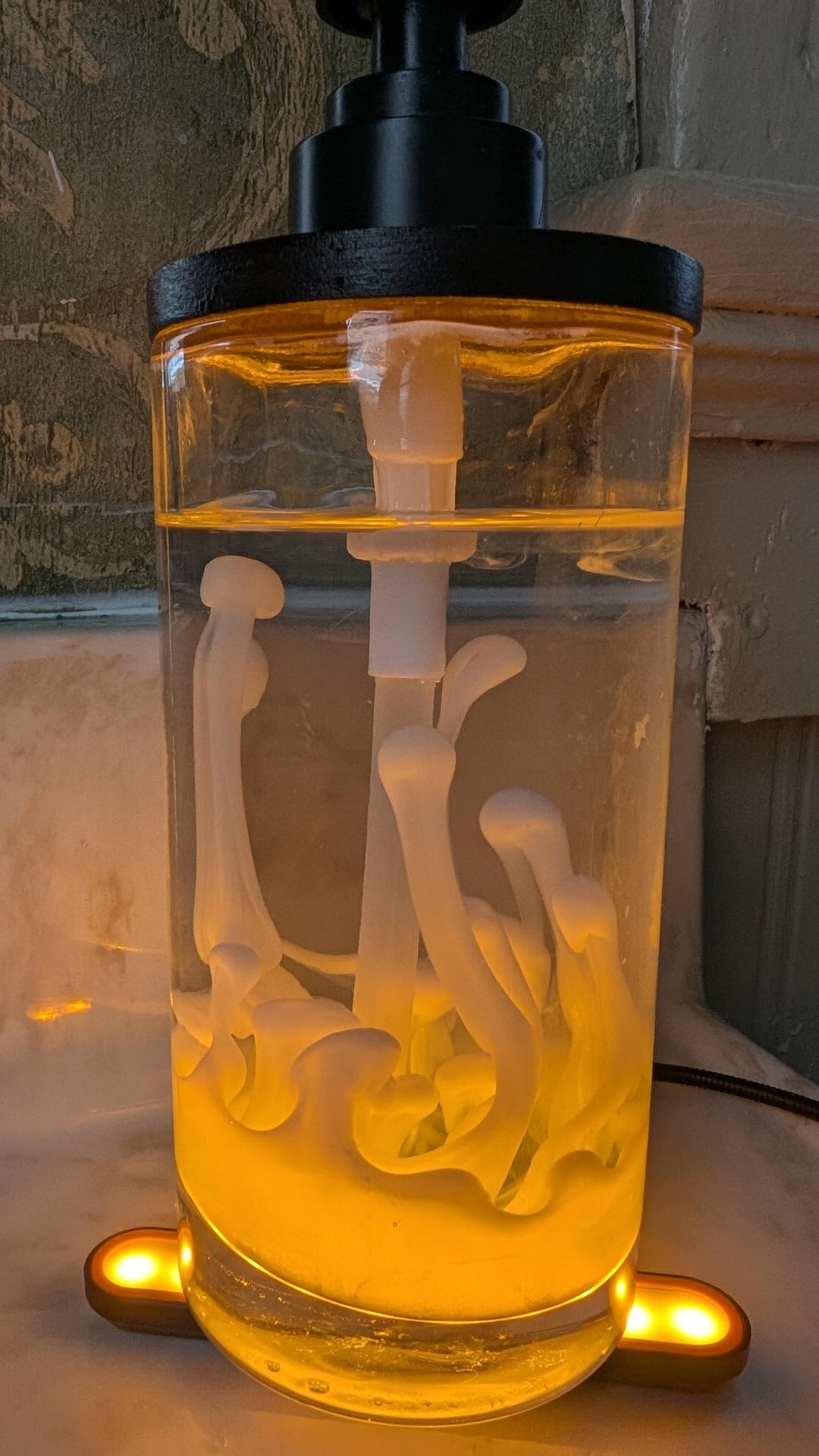 13. Смесь прозрачного и непрозрачного мыла породила лавовую лампу