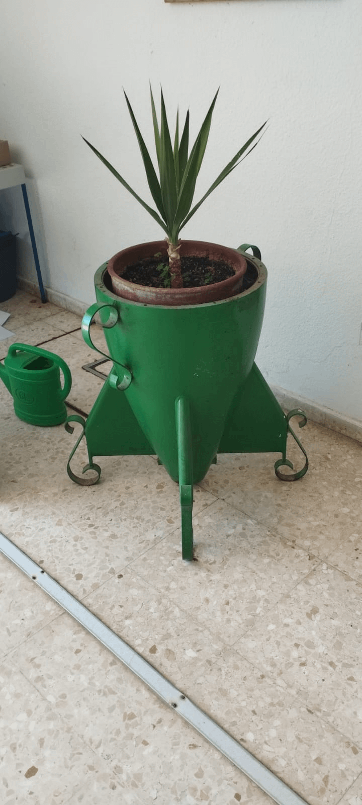 18. Цветок, который собирается в космос