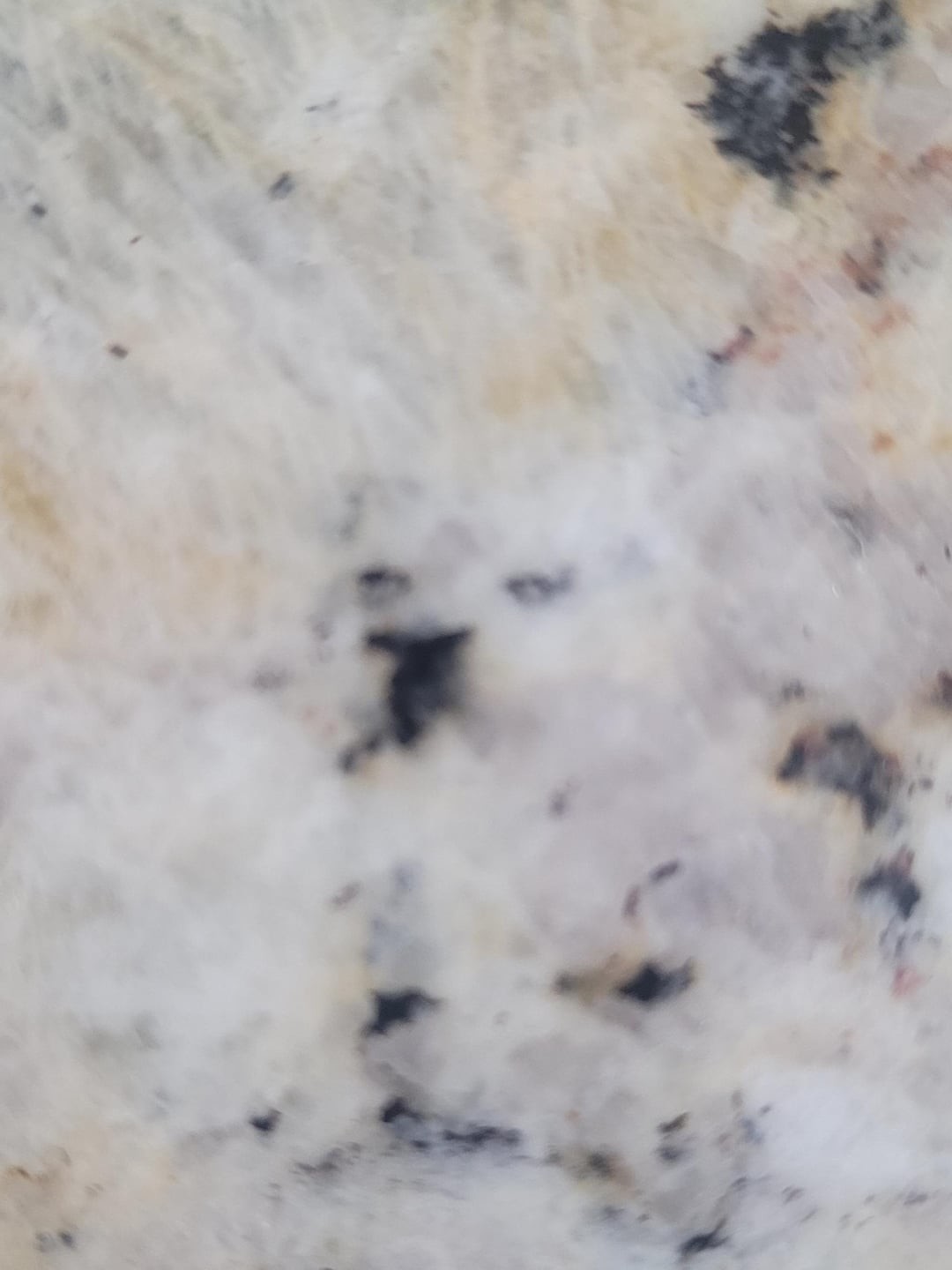 20. На столешнице обитает собака-скептик