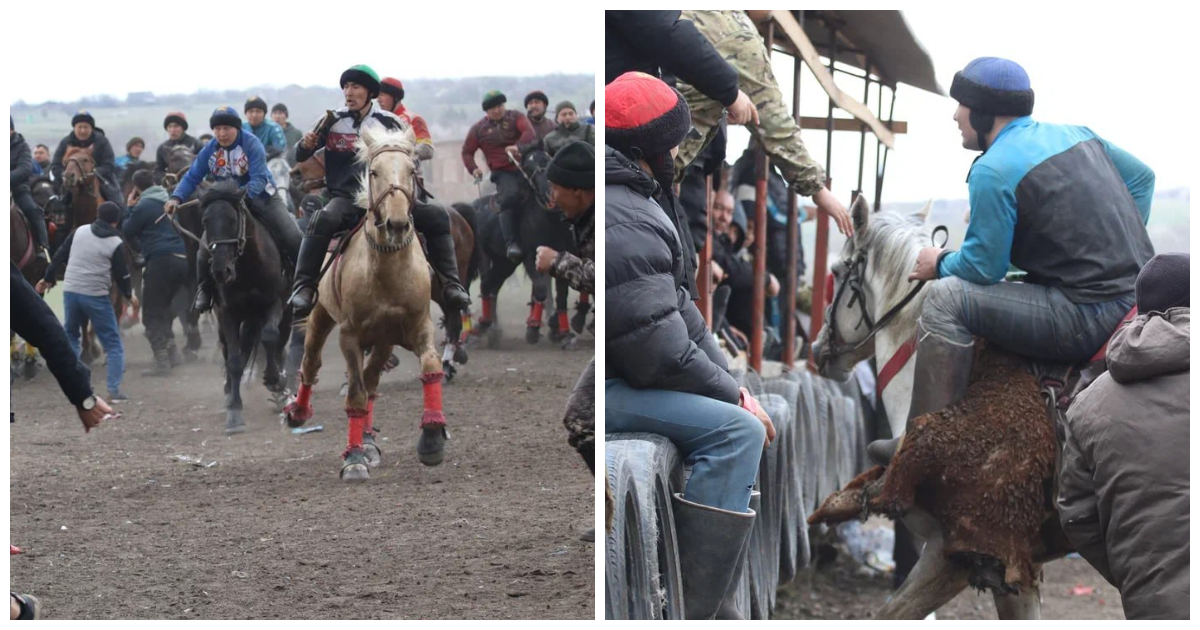 В Подмосковье суд оштрафовал организатора тюркской игры с тасканием туши козла