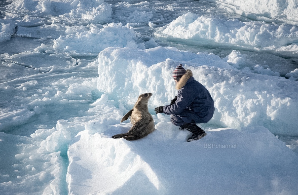 Удивительные и забавные фотографии с животными