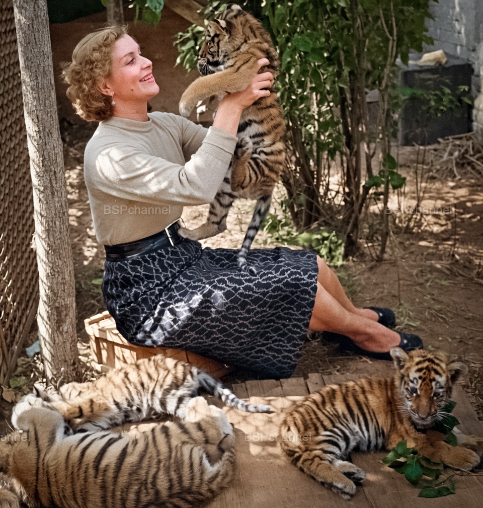 Удивительные и забавные фотографии с животными