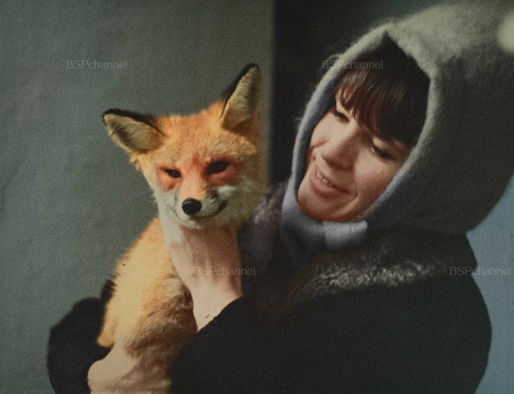 Удивительные и забавные фотографии с животными