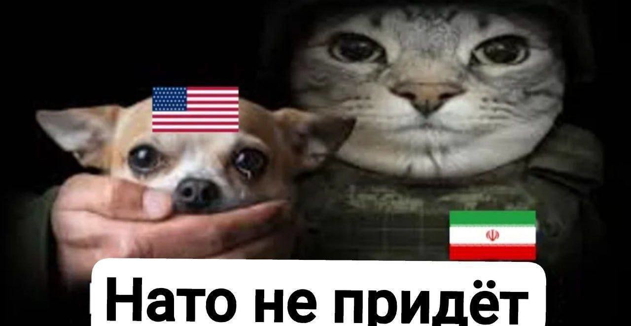 С юмором и не только , но лишь о политике