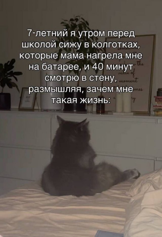 Скрины из соцсетей
