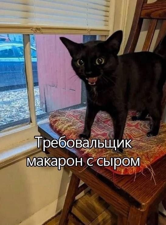 Скрины из соцсетей