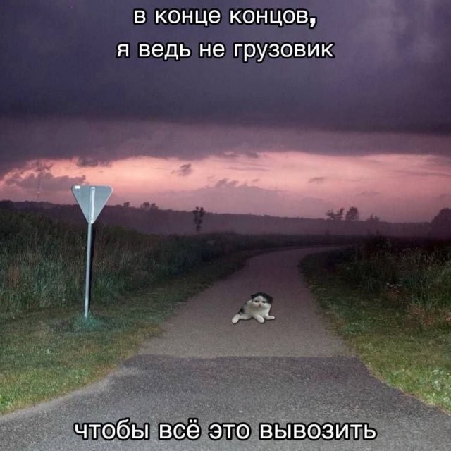 Скрины из соцсетей