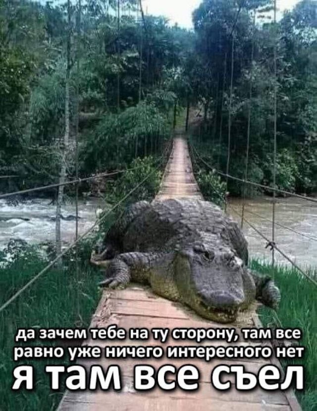 Скрины из соцсетей